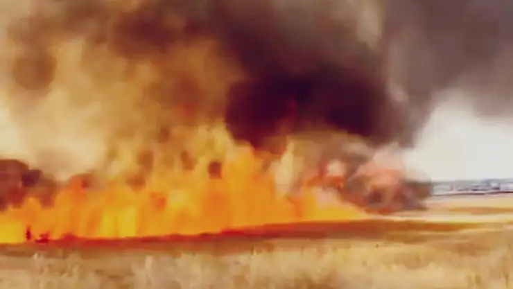 Diyarbakır'da biçilmemiş 30 dönüm buğday yangında kül oldu