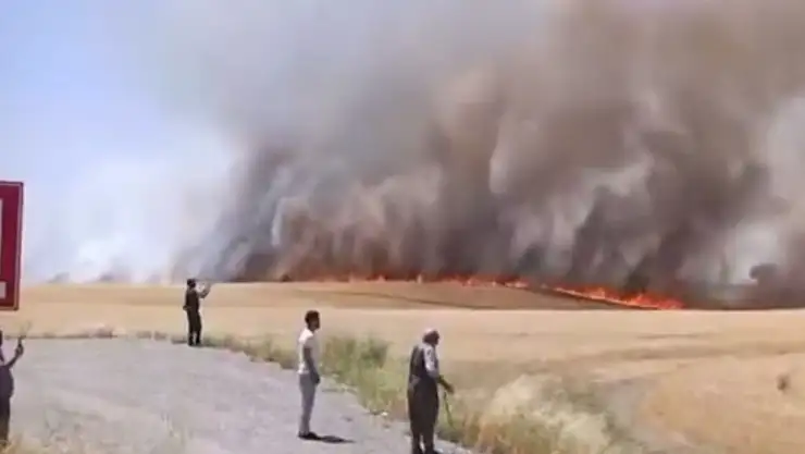 Diyarbakır'da bin dönümden fazla biçilmemiş buğday ve arpa yangında kül oldu