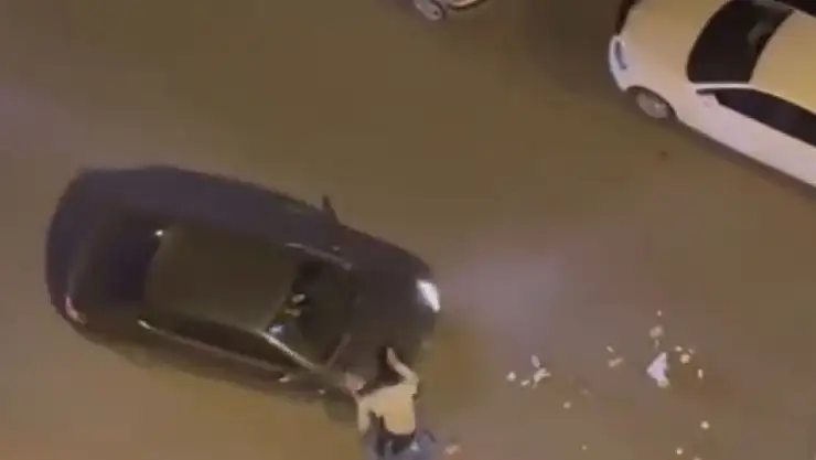 Diyarbakır'da bir şahıs çöpleri dağıtıp yoldan geçen otomobile saldırdı