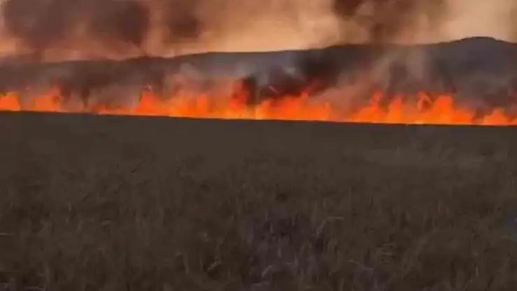 Diyarbakır'da buğday tarlasında anız yangını