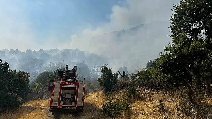 Diyarbakır'da çıkan orman yangınına 9 saattir müdahale devam ediyor