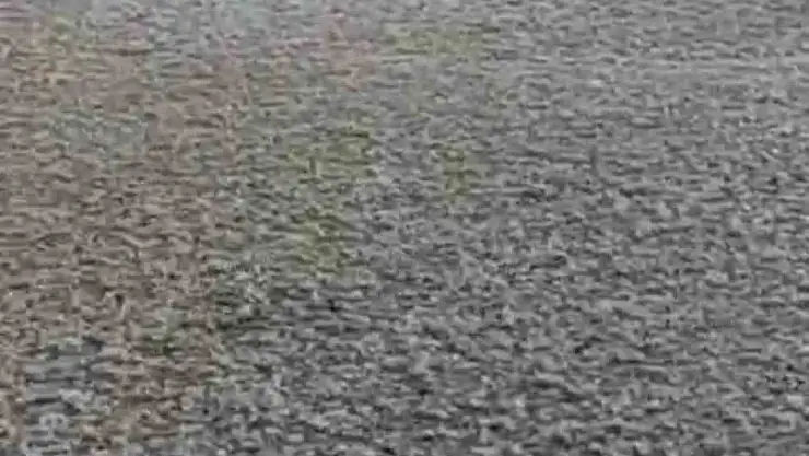 Diyarbakır'da dolu yağışı