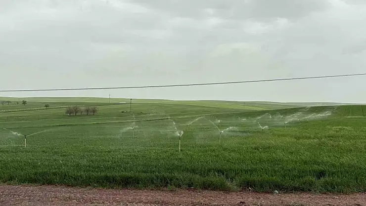 Diyarbakır'da ekili arazi yağmurda fıskiye ile sulandı