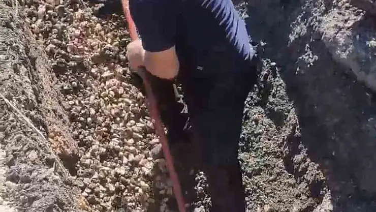 Diyarbakır'da kanalizasyon borusunda mahsur kalan kuzu böyle kurtarıldı