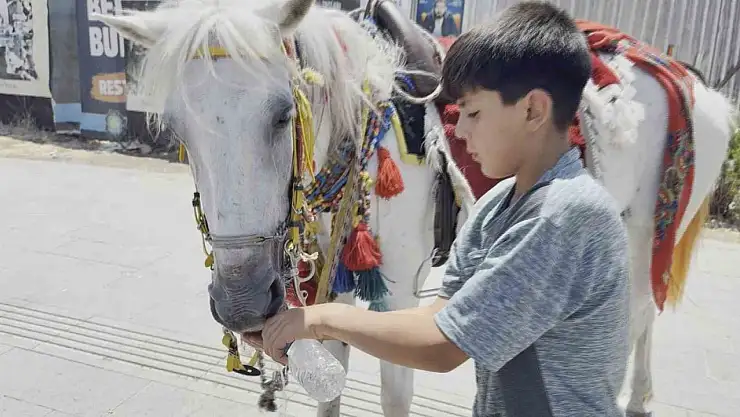 Diyarbakır'da kavurucu sıcaklardan dolayı tarihi mekanlar boş kaldı