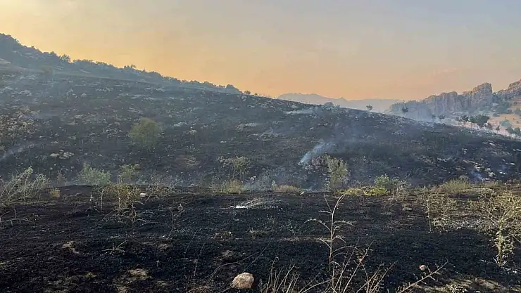 Diyarbakır'da merada başlayan yangın ormanlık alana yayıldı