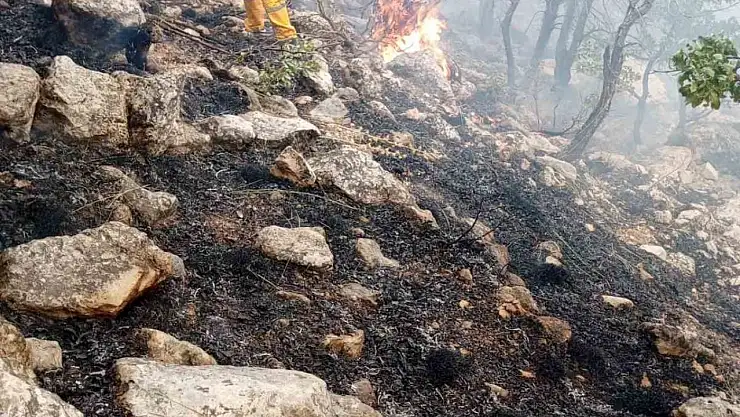 Diyarbakır'da orman yangınına helikopter destekli müdahale sürüyor
