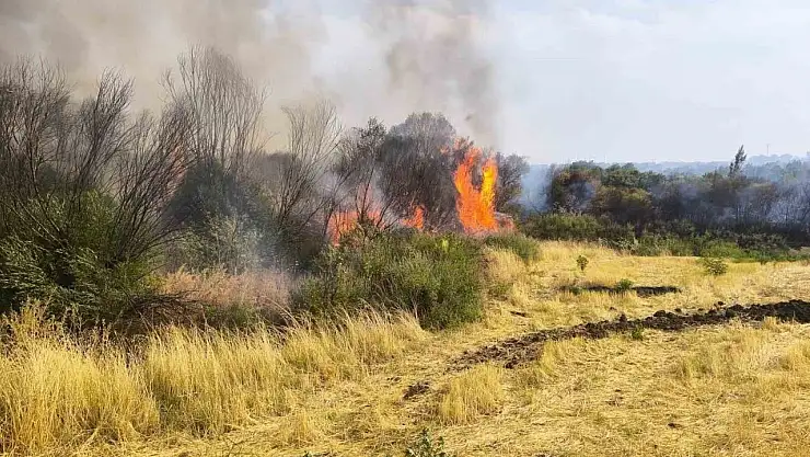 Diyarbakır'da ormanlık alana sıçrayan örtü yangını söndürüldü