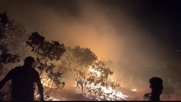Diyarbakır'da ormanlık alanda çıkan yangın söndürüldü