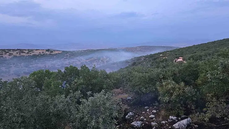 Diyarbakır'da örtü yangını