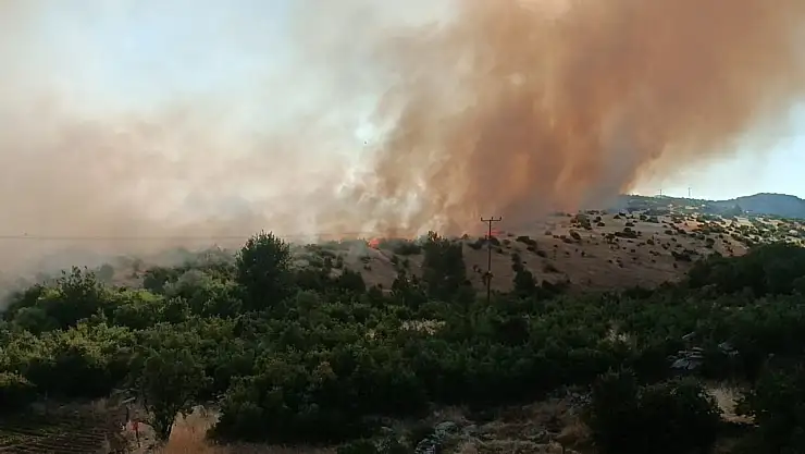 Diyarbakır'da örtü yangını