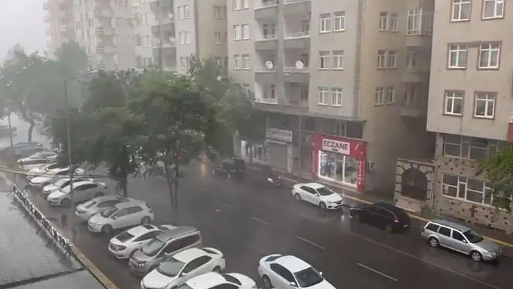 Diyarbakır'da sağanak etkili oldu, lüks otomobil devrilen ağacın altında kaldı