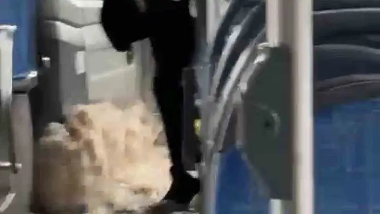 Diyarbakır'da sağanak yağış nedeniyle biriken su halk otobüsüne taştı