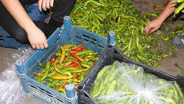 Diyarbakır'da sıcak hava sebze ve meyveleri etkiledi