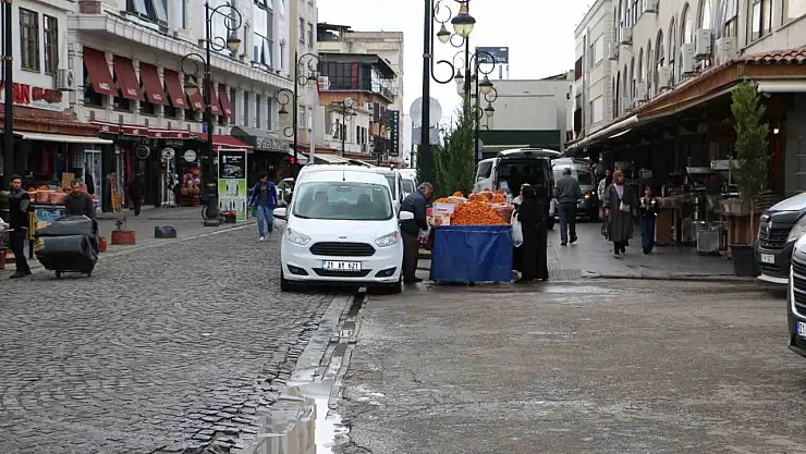 Diyarbakır'da tarihi mekanlardaki başıboş köpekler tedirgin ediyor