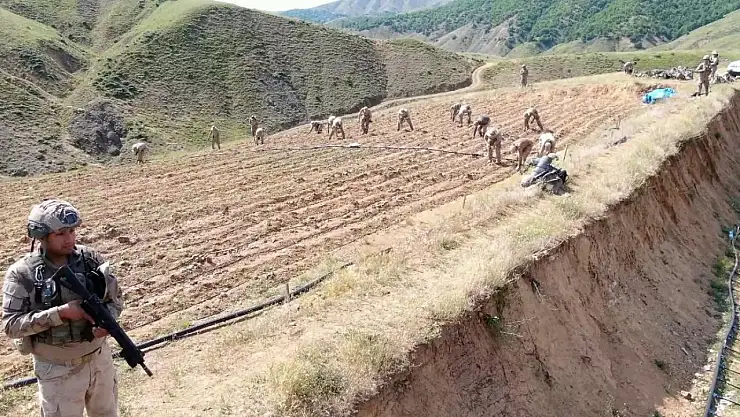 Diyarbakır'da yaklaşık 160 milyar 650 milyon TL olan 319 tonluk uyuşturucu maddenin topluma sunulmasının önüne geçildi