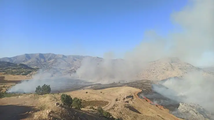 Diyarbakır'da yaylada örtü yangını