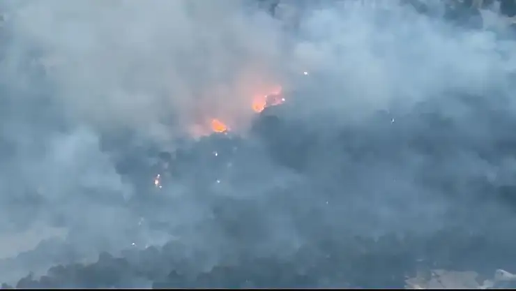 Diyarbakır'da ziraat arazisinde başlayıp ormanlık alana sıçrayan yangın 10 saat sonra söndürüldü