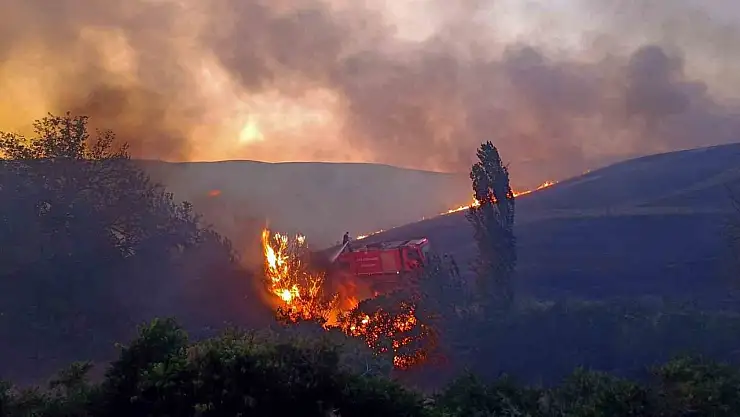 Diyarbakır'daki anız ve orman yangınları söndürüldü