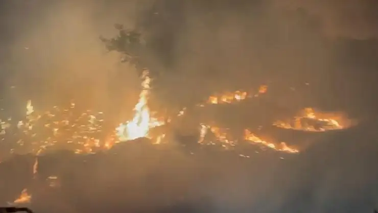 Diyarbakır'ın Ergani ve Lice ilçelerindeki yangın söndürüldü