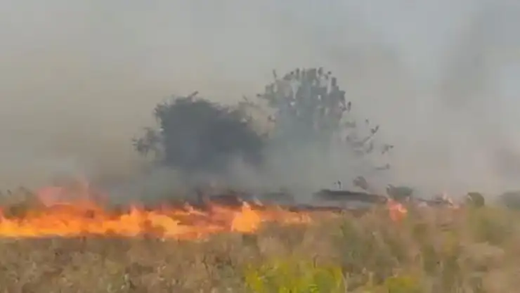 Doğanyol'da bahçe yangını