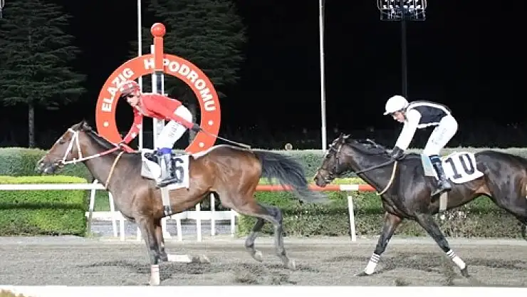 Elazığ Belediye Başkanlığı koşusunda zafer Drop'un