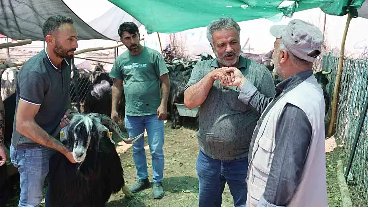 Elazığ'da 'kol kıran' pazarlıklar sürüyor
