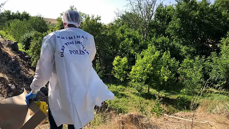 Elazığ'da ağaca asılı halde erkek cesedi bulundu