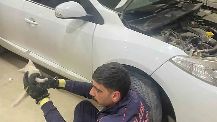 Elazığ'da aracın motor kısmına sıkışan kedi, itfaiye tarafından kurtarıldı