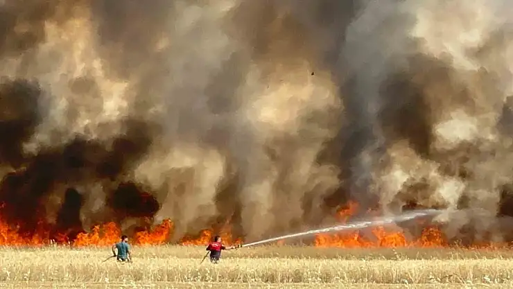 Elazığ'da arazi yangını: Ekili alanlar da küle döndü