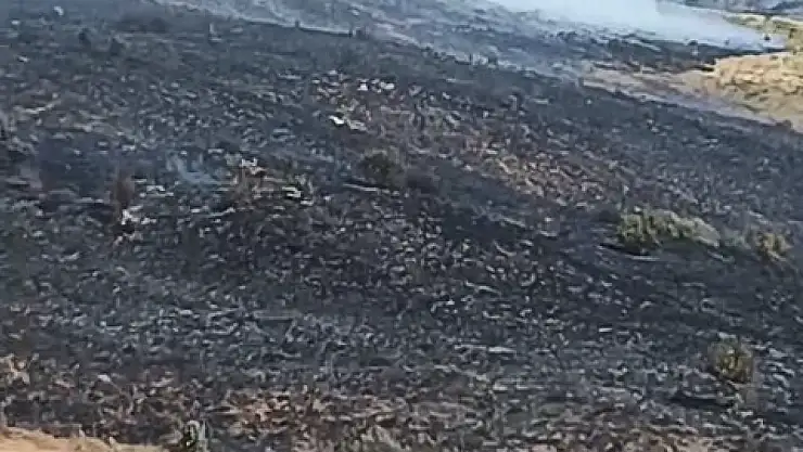 Elazığ'da arazi yangını