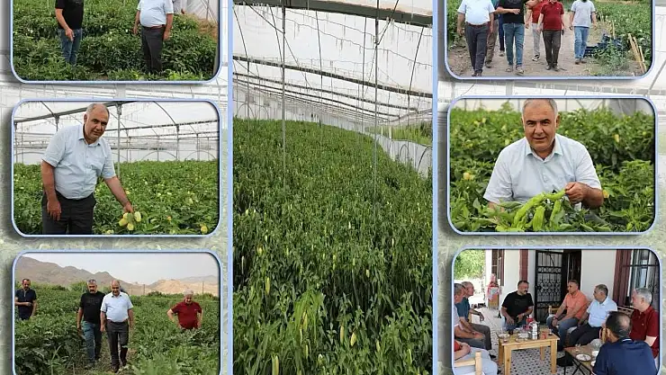 Elazığ'da bahçe ve sera alanlarında inceleme