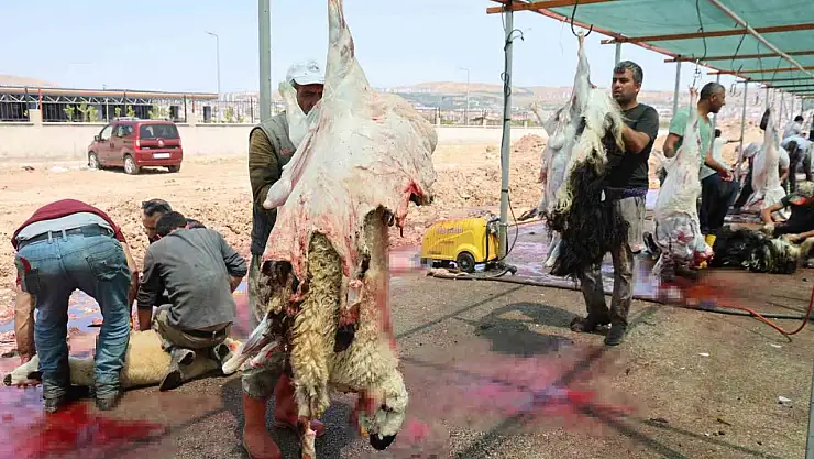 Elazığ'da bayramın üçüncü günü de kurban kesimi devam etti