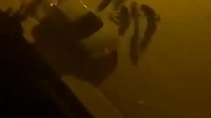 Elazığ'da bıçaklı kavga: 1 yaralı