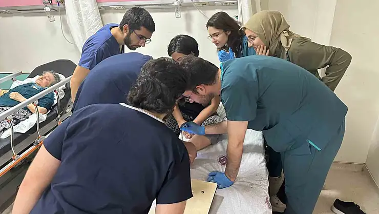 Elazığ'da bir kene vakası daha