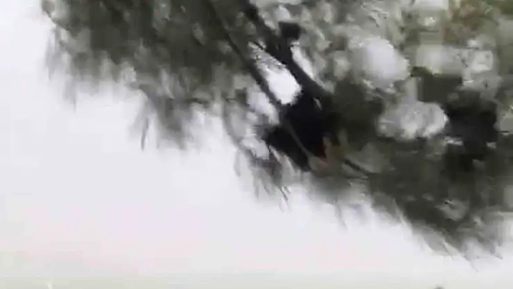 Elazığ'da fırtına etkili oldu