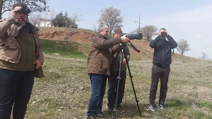 Elazığ'da güncel kuş yoğunluk haritası çalışmaları