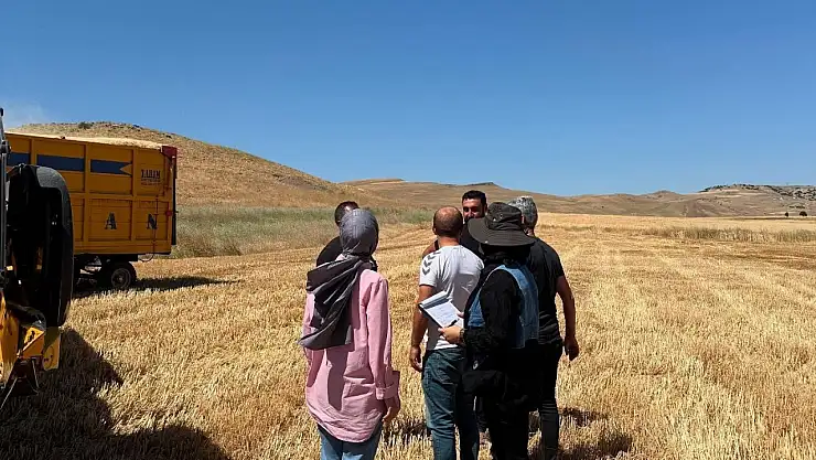 Elazığ'da hasat ve biçerdöver denetimleri sürüyor