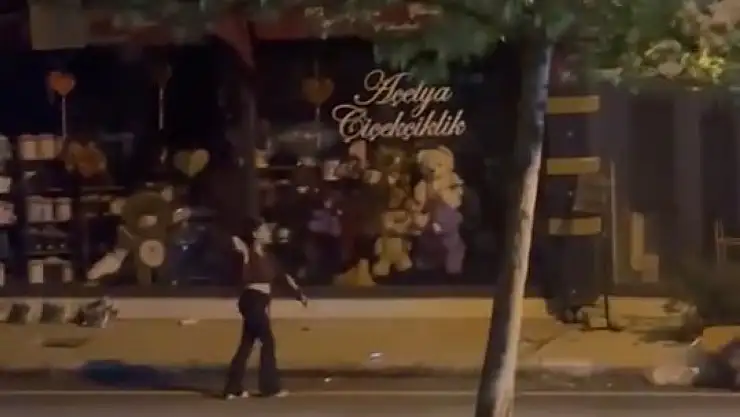 Elazığ'da kadın, bir iş yerine taşla saldırdı