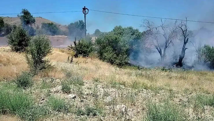 Elazığ'da korkutan yangın: Onlarca dönümlük alan kül oldu