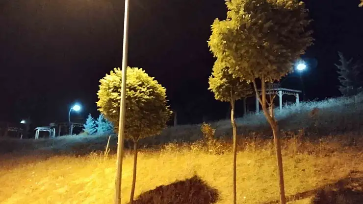 Elazığ'da kuvvetli rüzgar etkili oldu