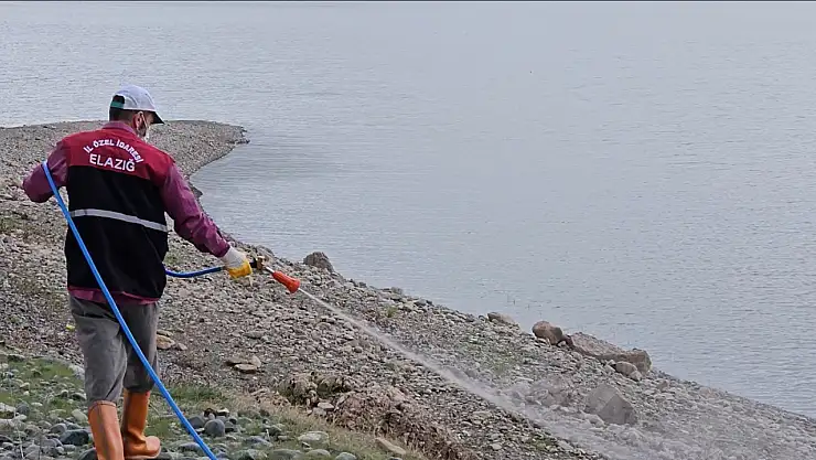 Elazığ'da larva ilaçlama çalışmaları sürüyor