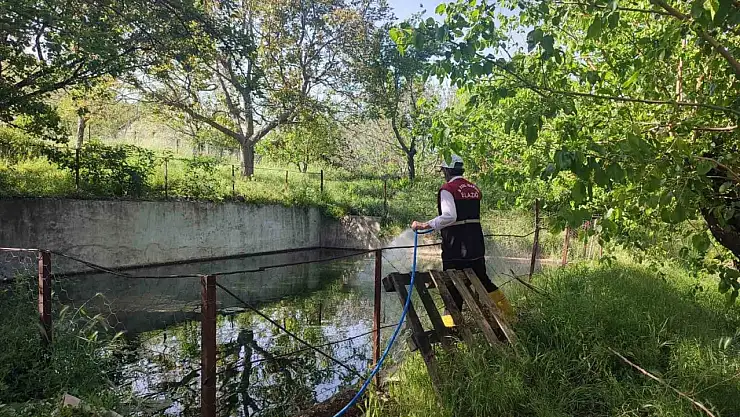 Elazığ'da larva ile mücadele çalışmaları sürüyor