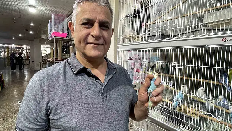 Elazığ'da muhabbet kuşlarına yoğun ilgi