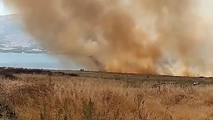 Elazığ'da otluk alanda çıkan yangın korkuttu