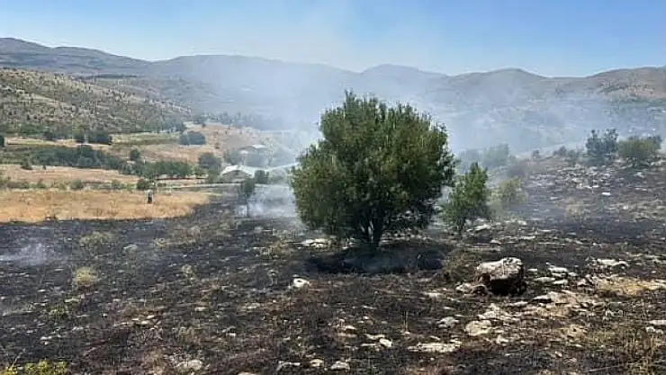 Elazığ'da otluk alanda çıkan yangın söndürüldü