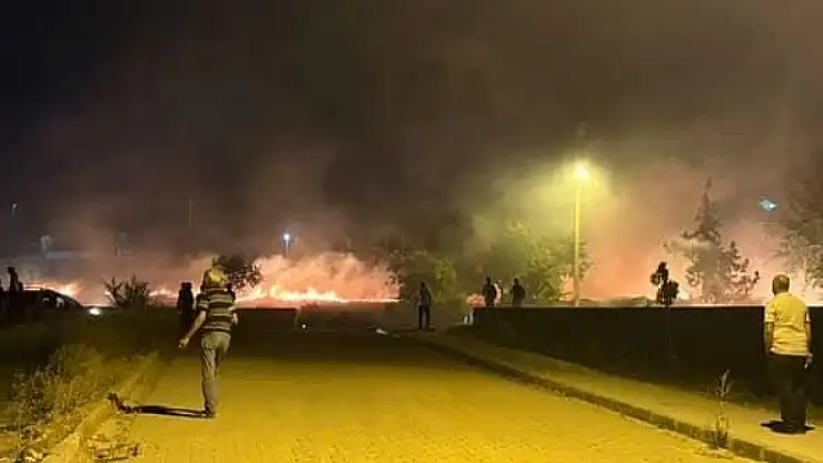 Elazığ'da otluk alanda yangın