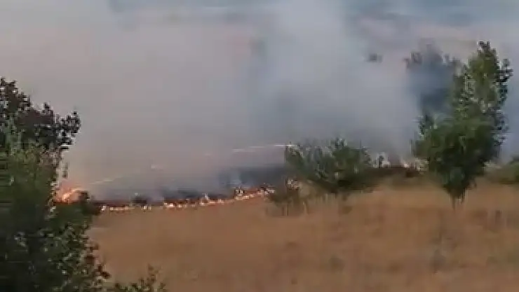 Elazığ'da otluk alanda yangın