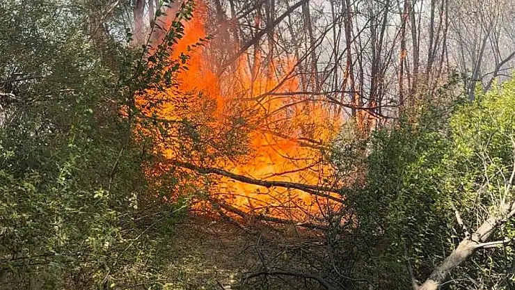 Elazığ'da otluk alanda yangın