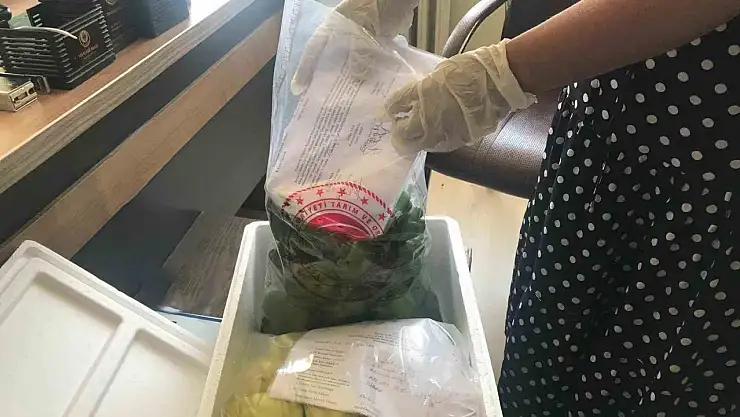 Elazığ'da pestisit denetimleri sürüyor